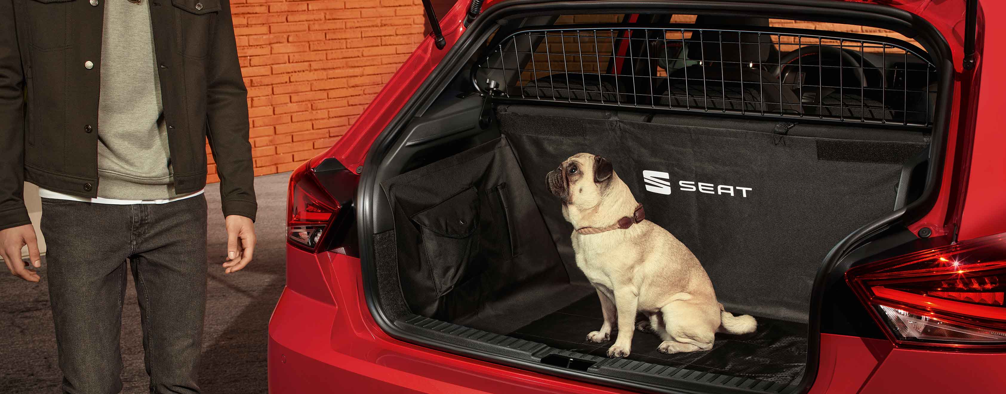 pies siedzi w bagażniku SEAT-a Ibiza z zamontowaną kratką