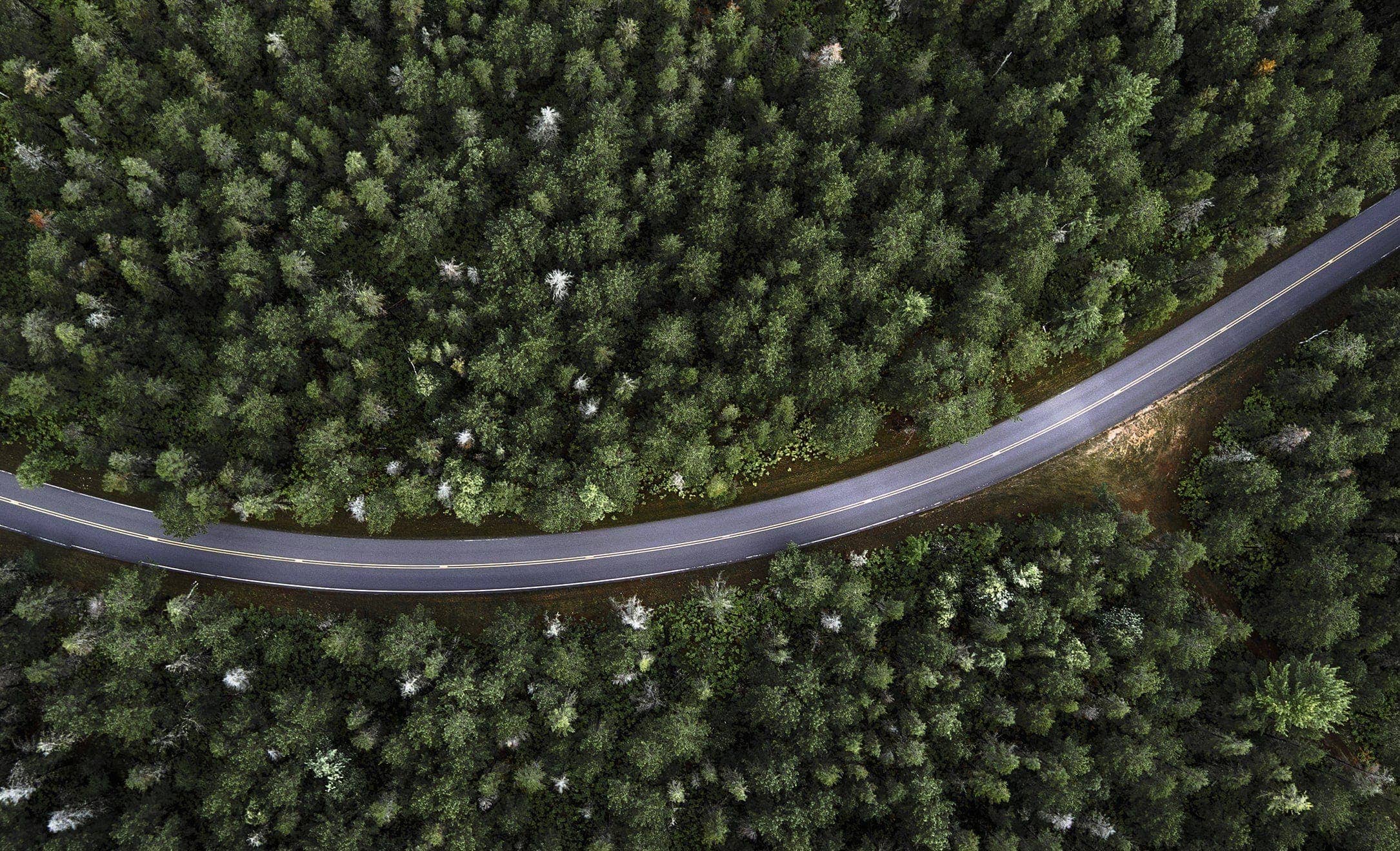Widok z lotu ptaka na pustą asfaltową drogę pośród drzew odnosi się do bezemisyjnego poruszania się nowej hybrydy SEAT Leon e-Hybrid Sportstourer typu Plug-in