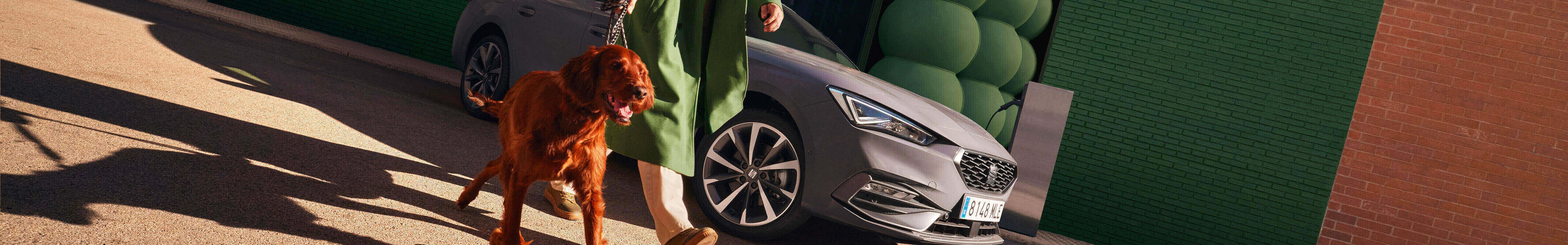 Hybrydowy SEAT Leon